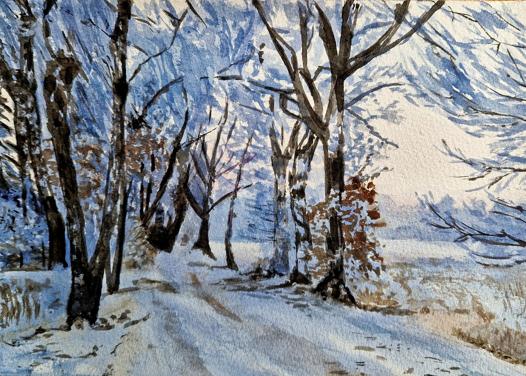 Winterpaths